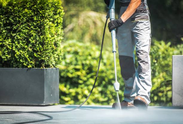 Best Roof Cleaning and Mildew Removal in Anton, TX